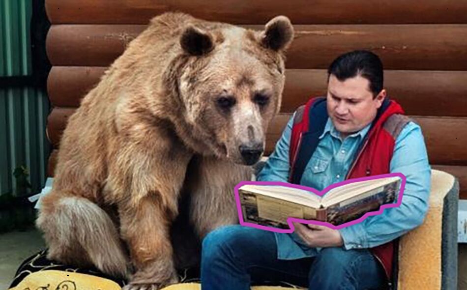 Лайфхаки в походе с палатками